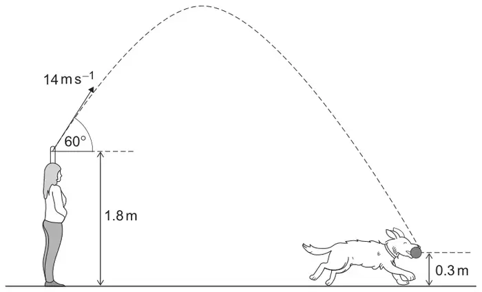 Nell throws a ball from 1.8 m above the beach at 14 m s^−1 at 60° above the horizontal; the ball follows a curved path and is caught by the dog Maia 0.3 m above the ground