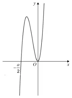 Positive cubic crossing the x-axis at −a/2, rising to a maximum between −a/2 and O, then touching the x-axis at a minimum at O before rising steeply