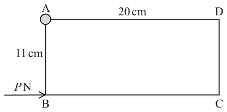 Rectangle ABCD with A top left (hinge), D top right, AD = 20 cm, AB = 11 cm vertical, horizontal force P N acting at B