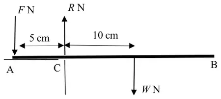 Completed force diagram: F N downwards at A, R N upwards at C, W N downwards 10 cm from C towards B; AC = 5 cm