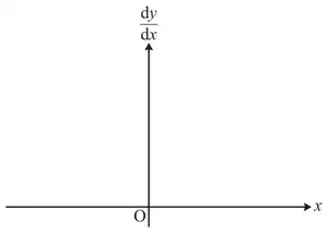 Blank axes from the Printed Answer Booklet: dy/dx on the vertical axis, x on the horizontal axis, origin O