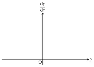 Blank axes from the Printed Answer Booklet: dy/dx on the vertical axis, y on the horizontal axis, origin O