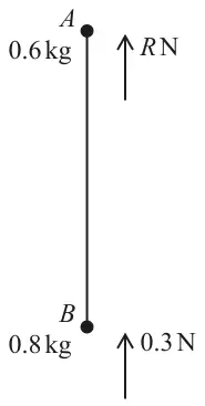 Particle A of mass 0.6 kg above particle B of mass 0.8 kg, joined by a vertical string; upward air resistance R N acts on A and 0.3 N acts on B