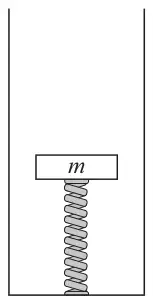 Diagram: a long vertical tube with a spring standing on its base and a mass m resting on top of the spring