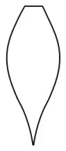 Figure 1: central vertical cross-section of the ornament, a closed shape that bulges out in the middle and tapers to a point at the bottom, with a flat top