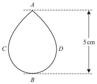 Figure 1: teardrop-shaped cross section with point A at the top, B at the bottom, C and D at the widest points; height AB is 5 cm