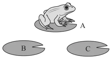 Figure 1: a frog on lily pad A, with lily pads B and C below