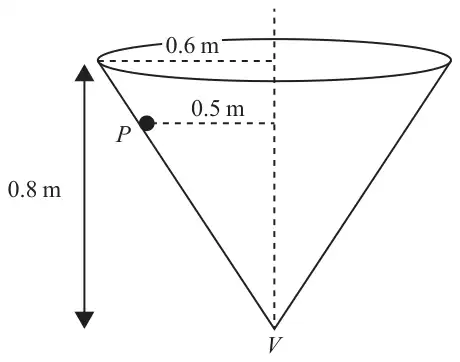 Figure 4: hollow cone with vertex V pointing downwards, height 0.8 m and base radius 0.6 m; particle P on the inner surface moving in a horizontal circle of radius 0.5 m