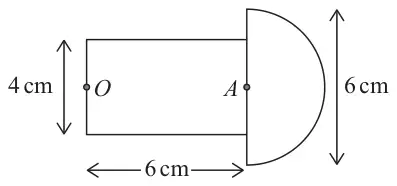 Figure 5: model: cylinder of length 6 cm and diameter 4 cm with end centres O and A, and a hemisphere of diameter 6 cm attached at A