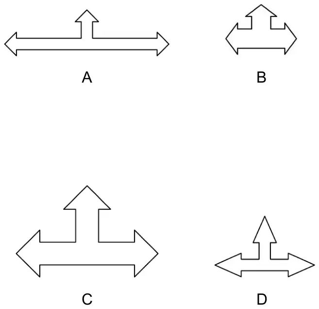 Four arrow shapes labelled A, B, C and D. A is long and thin, B is narrow, C is an enlargement of X, D has thinner arrows