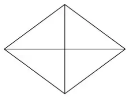 A rhombus made of four of the triangles meeting at the centre