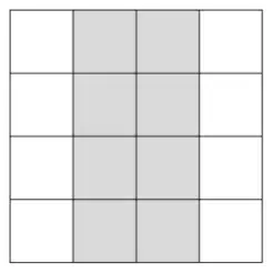 A 4 by 4 centimetre grid with the middle two columns shaded (8 squares)