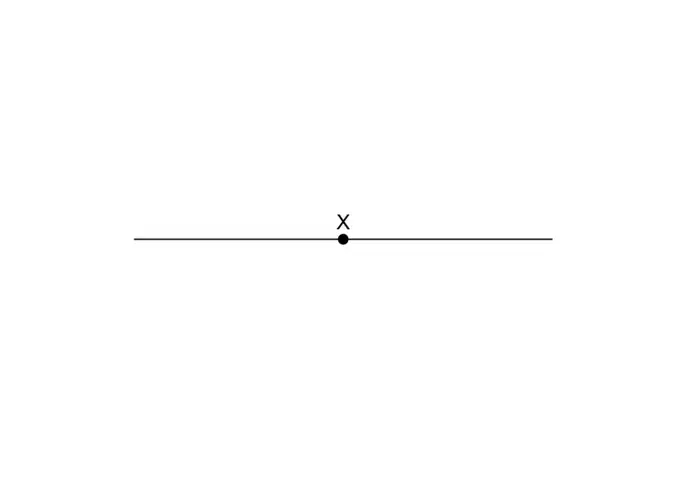 A horizontal line segment with its midpoint marked X