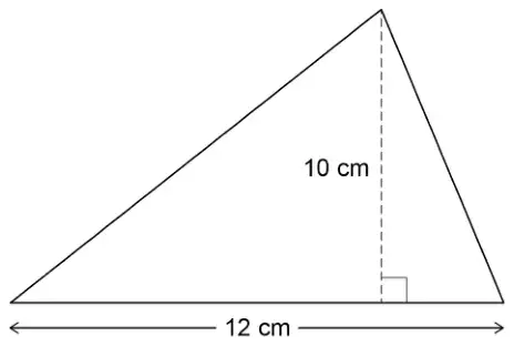 Triangle with base 12 cm and perpendicular height 10 cm