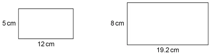 Two rectangles: one 12 cm by 5 cm, the other 19.2 cm by 8 cm