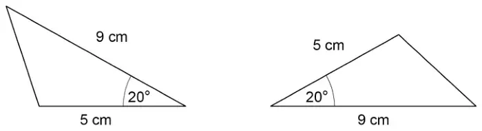 Two triangles. Each has sides 9 cm and 5 cm with an angle of 20° between them