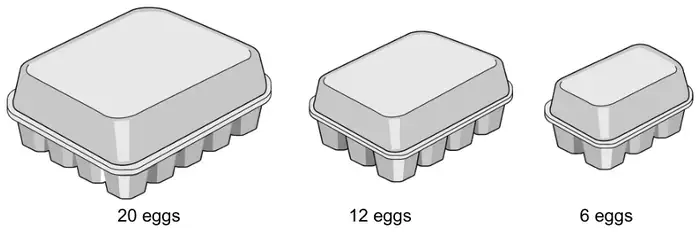Three egg boxes: 20 eggs, 12 eggs, 6 eggs