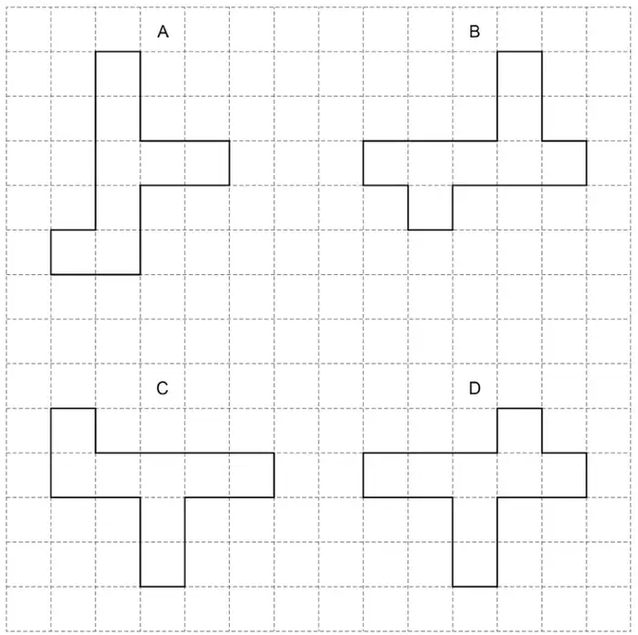 Square grid with four shapes A, B, C and D, each made of squares in a cross-like arrangement