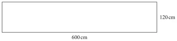 A rectangle 600 cm long and 120 cm wide