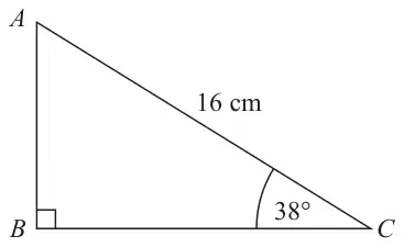 Right-angled triangle ABC with the right angle at B, hypotenuse AC = 16 cm and angle C = 38°