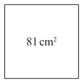 A square labelled 81 square centimetres