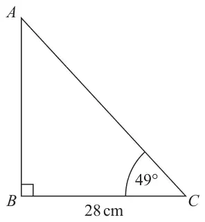 Right-angled triangle ABC with the right angle at B, BC = 28 cm and angle ACB = 49 degrees