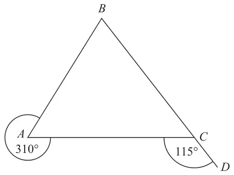 Triangle ABC with BC extended to D. The reflex angle at A outside the triangle is 310 degrees; angle ACD is 115 degrees