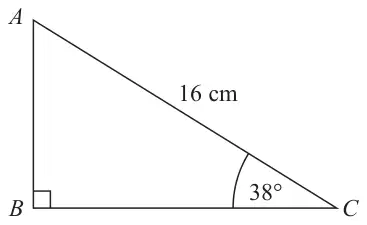 Right-angled triangle ABC with the right angle at B; hypotenuse AC = 16 cm and angle C = 38 degrees
