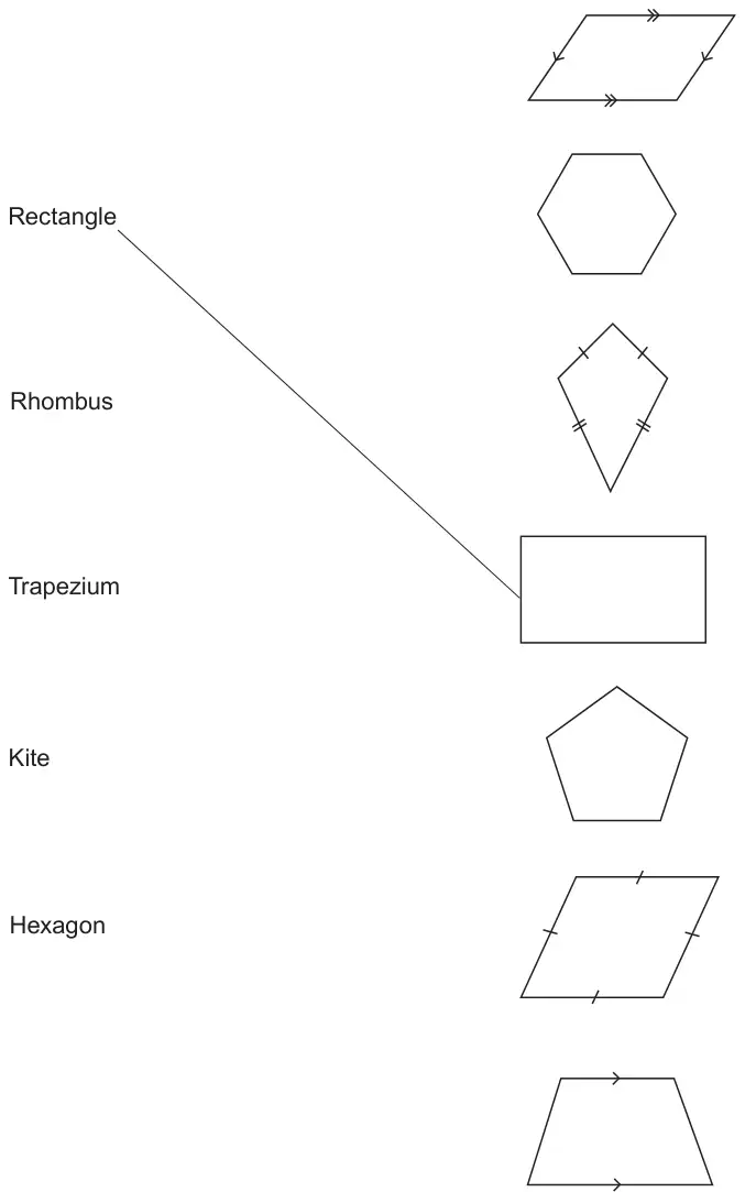 Diagram: names Rectangle, Rhombus, Trapezium, Kite and Hexagon on the left; on the right a parallelogram, a regular hexagon, a kite, a rectangle, a regular pentagon, a rhombus and a trapezium. A line already joins Rectangle to the rectangle