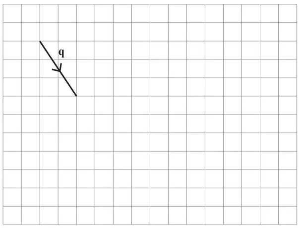 Square grid with the vector q drawn as a line segment going down and to the right, with an arrow