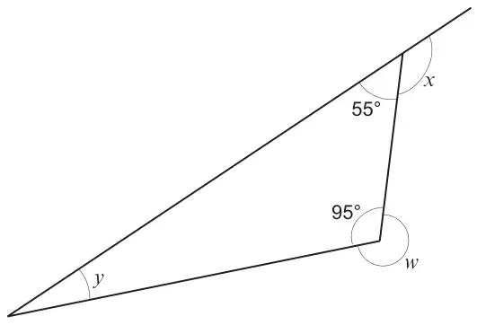 Diagram: a triangle with one side extended; interior angles 55 degrees and 95 degrees, angle y at the third vertex, reflex angle w outside the 95 degree angle and exterior angle x next to the 55 degree angle