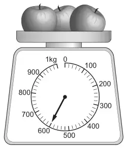 Weighing scales from 0 to 1 kg marked every 100 g; the pointer shows 600