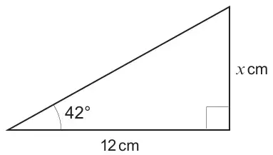 Right-angled triangle: base 12 cm, angle 42 degrees at the left end of the base, vertical side x cm opposite the angle