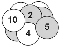 Picture of the discs: white discs showing 10 and 4, grey discs showing 2 and 5, with others hidden