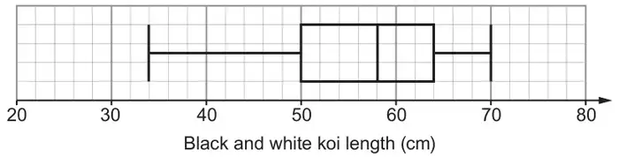 Box plot of black and white koi length (cm) on a scale from 20 to 80