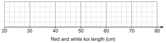 Blank grid for red and white koi length (cm) from 20 to 80