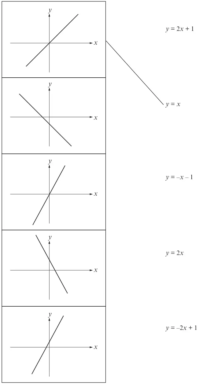 Five sketch graphs of straight lines in a column and the equations y = 2x + 1, y = x, y = -x - 1, y = 2x and y = -2x + 1; the first graph (a line through the origin with positive gradient) is joined to y = x