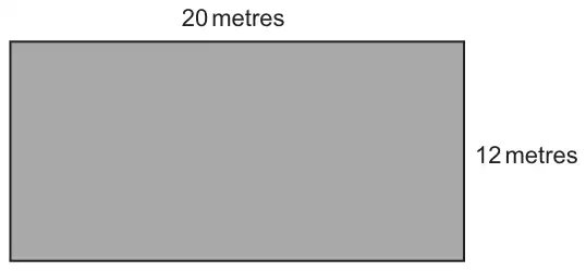 Aerial view of the pool: a rectangle 20 metres by 12 metres