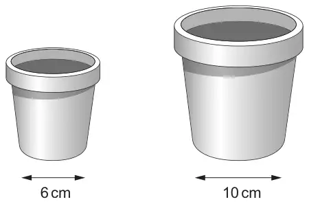 Two similar plant pots: the smaller has base width 6 cm and the larger has base width 10 cm