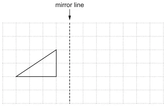 Square grid with a vertical dashed mirror line and a right-angled triangle to the left of it