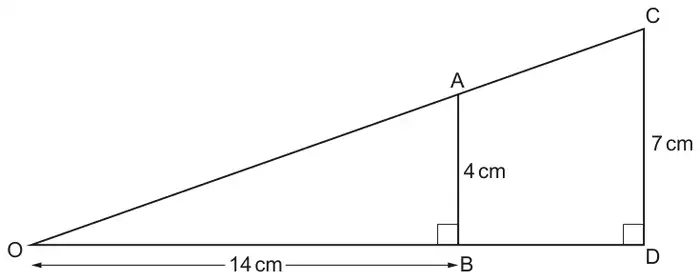 Triangle OCD with right angle at D, OD horizontal and CD = 7 cm vertical. A lies on OC and B lies on OD with AB = 4 cm vertical and a right angle at B. OB = 14 cm