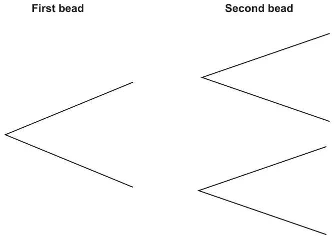 Blank tree diagram with two branches for the first bead, each followed by two branches for the second bead