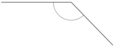 Two lines meeting at a point with the angle between them marked; the angle is obtuse