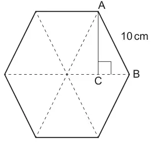Regular hexagon divided into six equilateral triangles by dashed lines. A is the top right vertex, B is the right-hand vertex, C is on the horizontal dashed line directly below A, with a right angle at C. AB = 10 cm