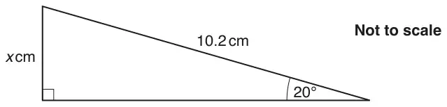 Right-angled triangle. The hypotenuse is 10.2 cm, the angle at the bottom right is 20°, and the vertical side opposite this angle is x cm. Not to scale