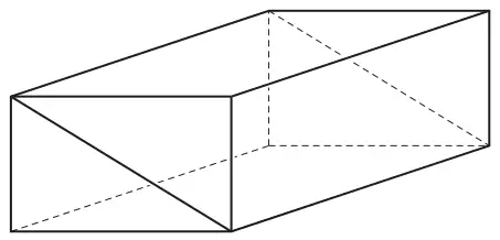 Two of the triangular prisms joined along their sloping rectangular faces to make a cuboid; the joining face is shown as a diagonal across the cuboid