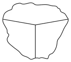 Three polygons meeting at a single point, with their outer edges drawn as wavy lines