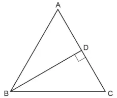 Triangle ABC with BD perpendicular to AC