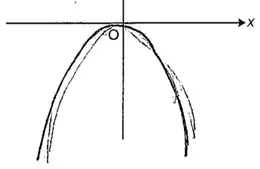 Candidate sketch of y = −x²