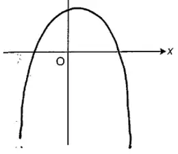 Candidate sketch of y = −x²